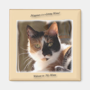 Aimant de bonheur de chats citrouilles