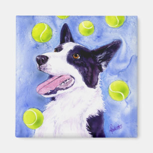 Aimant de border collie - le "or de la pie "