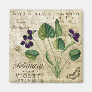Aimant de Botanica février