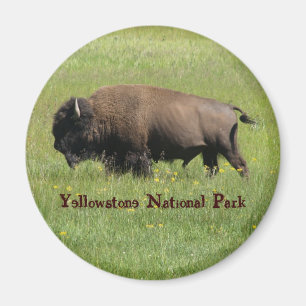 Aimant de Buffalo de Yellowstone