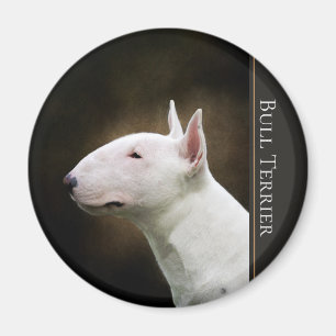 Aimant de bull-terrier