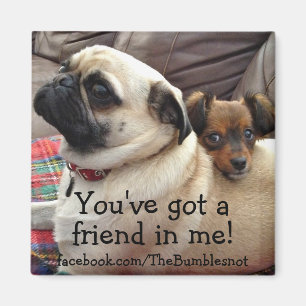 Aimant de Bumblesnot : Vous avez un ami dans moi !