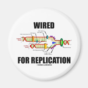 Aimant De câble pour la reproduction (reproduction d'ADN