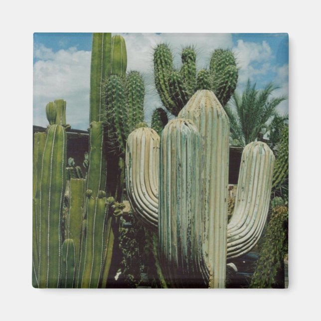 Aimant de cactus (Devant)