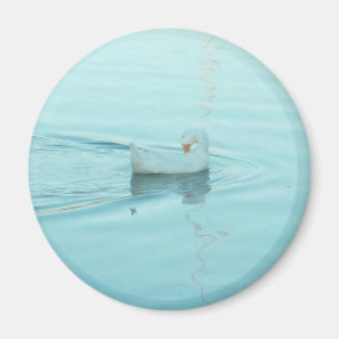Aimant de canard blanc