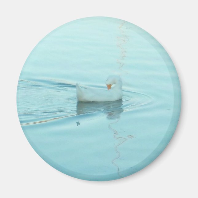 Aimant de canard blanc (Devant)