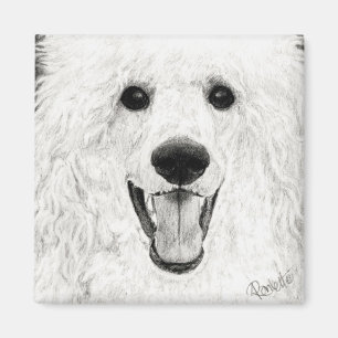 Aimant de caniche - "Jolly Boy"