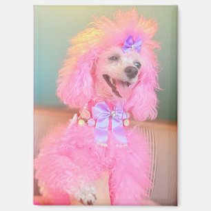 Aimant de caniche rose, cadeau de caniche rose