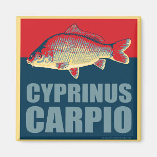 aimant de carpe