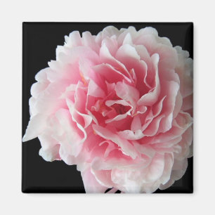 Aimant de carré de pivoine de fougère
