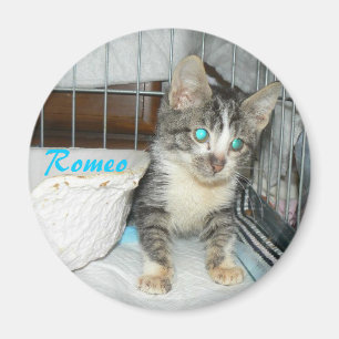 aimant de cercle de romeo