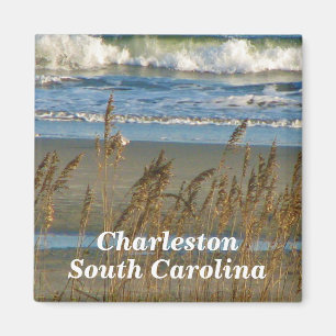 Aimant de Charleston
