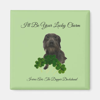 Aimant de charme Lucky