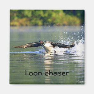 Aimant de chasseur de dingue