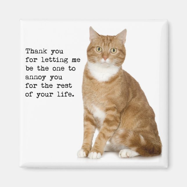 Aimant de chat (Devant)