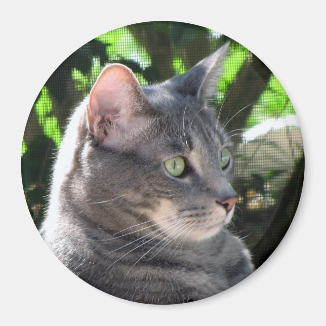 Aimant de chat (Devant)