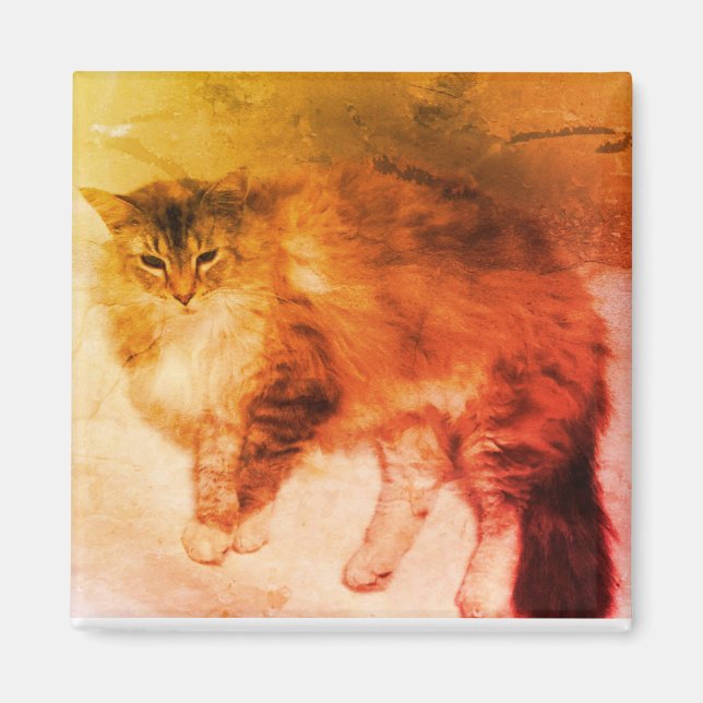 Aimant de chat (Devant)