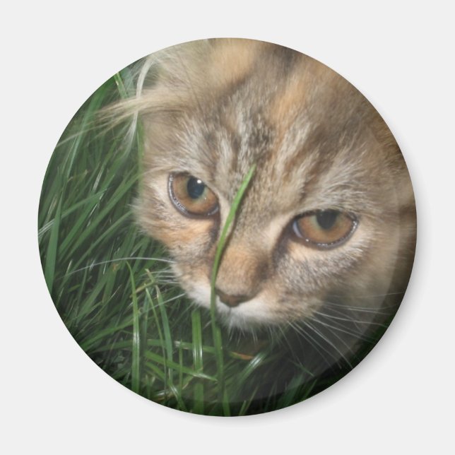 Aimant de chat (Devant)