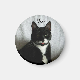 Aimant de chat