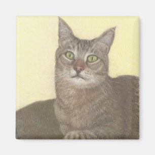 Aimant de chat Abyssinien