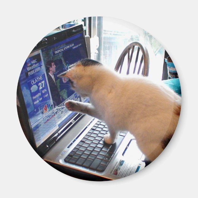 Aimant de chat Cumputer (Devant)