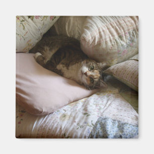 Aimant de chat de coussin