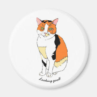 Aimant de chat élégant