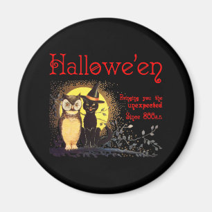 Aimant de chat et de hibou