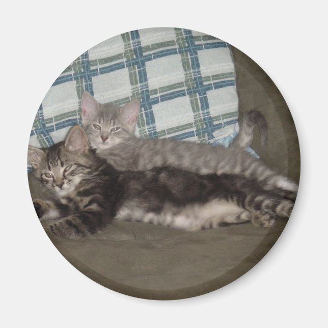 Aimant de chat fatigué (Devant)