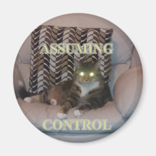 Aimant de chat prenant le contrôle