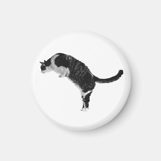 Aimant de chat texturé (Devant)