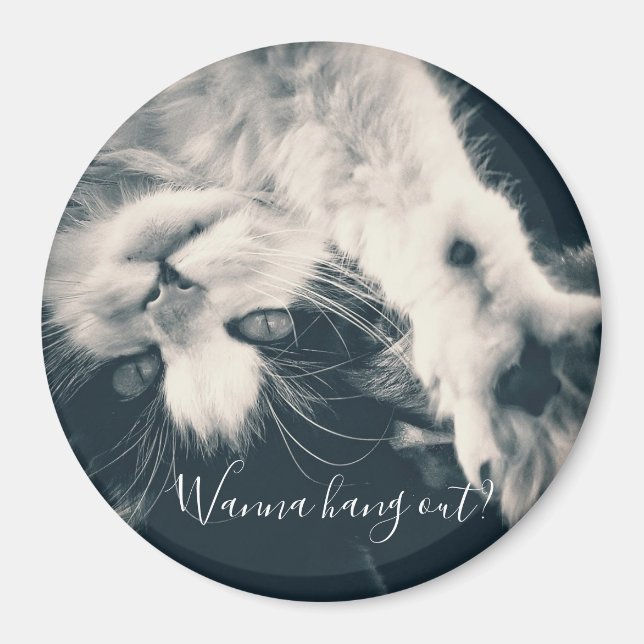 Aimant de chat - Vous voulez sortir ? (Devant)