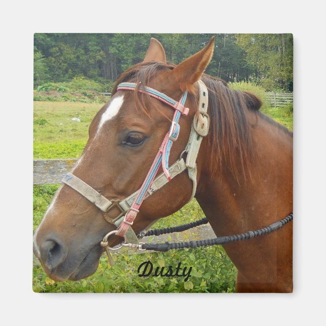 Aimant de cheval (Devant)