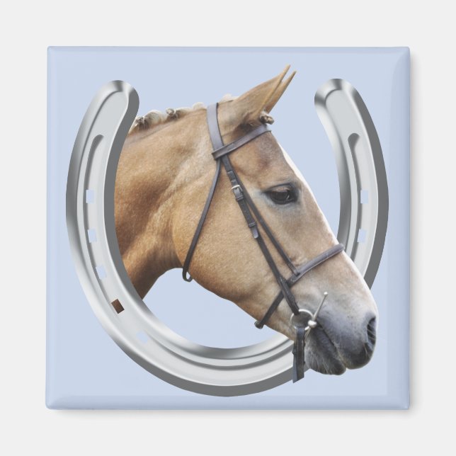 Aimant de cheval ambré (Devant)