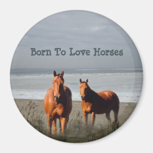 Aimant de chevaux de plage