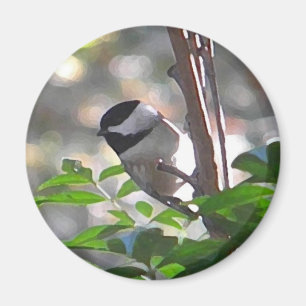 Aimant de Chickadee
