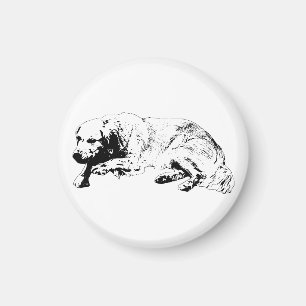 Aimant de chien calme visuel apporte une joie stab