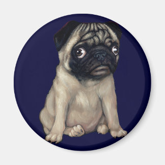Aimant de chien carlin