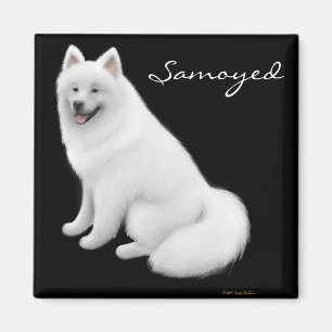Aimant de chien de Samoyed