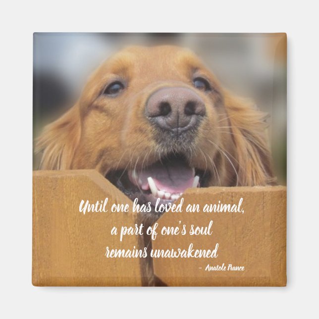 Aimant De Chien, Jusqu'À Ce Qu'On Aime Citation D' (Devant)