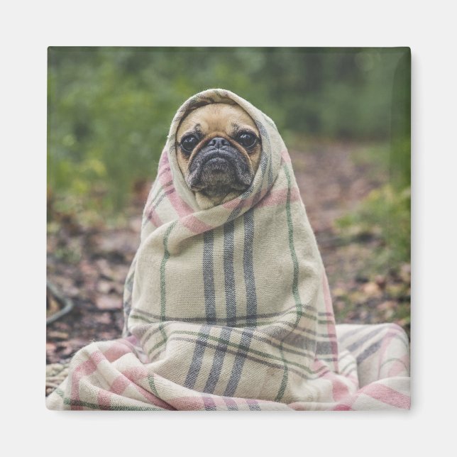 Aimant de chien mignon 2 (Devant)