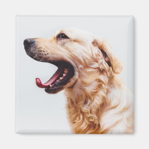 Aimant de chien mignon 6