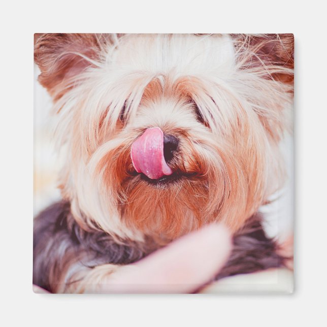 Aimant de chien mignon 8 (Devant)