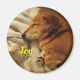 Aimant de chien souriant