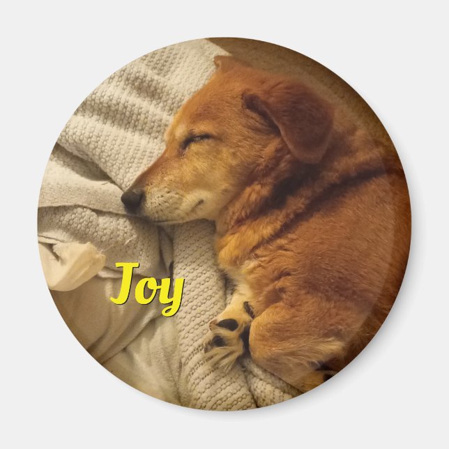 Aimant de chien souriant (Devant)