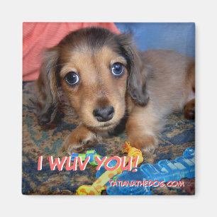 Aimant de chiot de TatianaTheDog - I WUV VOUS !