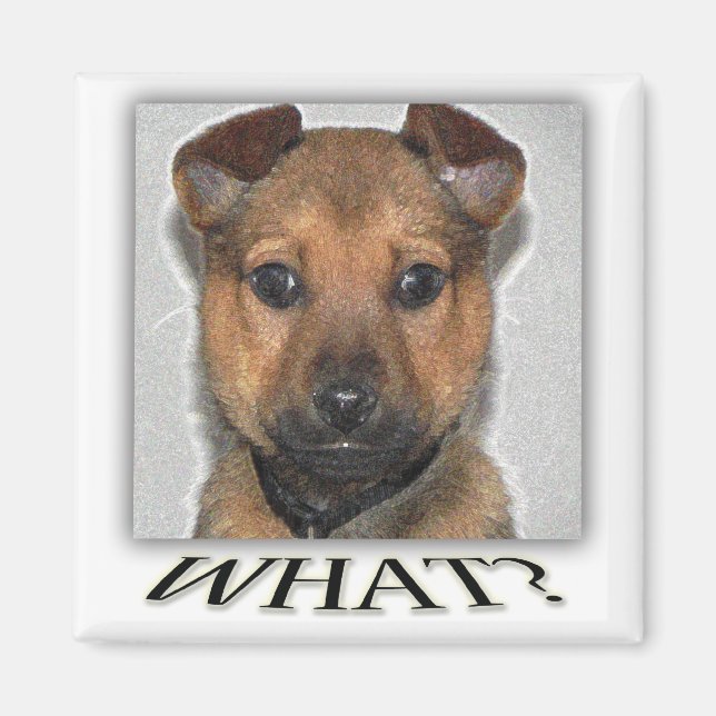 Aimant de chiot super mignon (Devant)