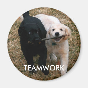 Aimant de chiots noir et blanc