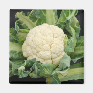 Aimant de chou-fleur