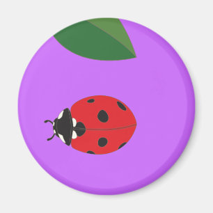 Aimant de coccinelles